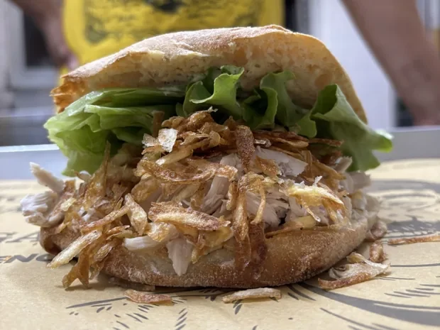 Panino Pulled Chicken